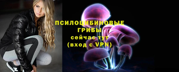молекула духа Лихославль