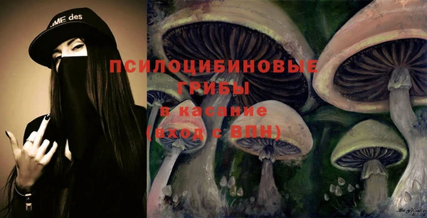 молекула духа Лихославль