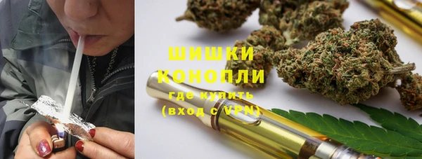 молекула духа Лихославль